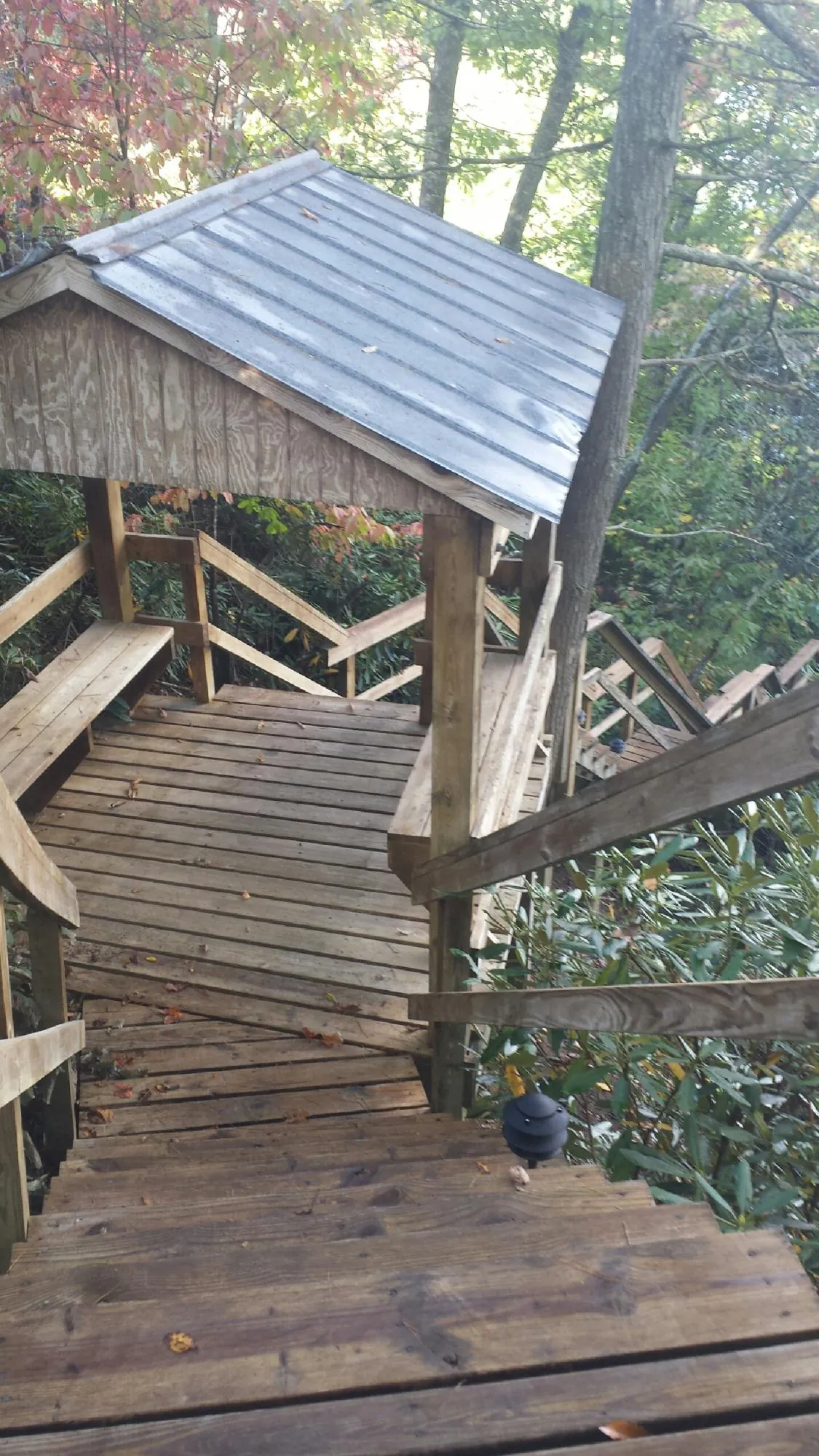 Metal roofed shelter over wooden steps on a wooded walkway — Skylight Repair & Installation work by our crew in Hamilton