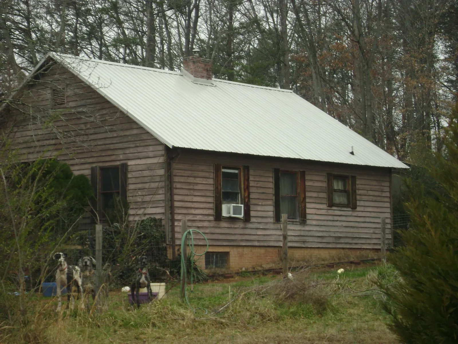 White metal roof on an old wood sided farmhouse, from a Metal Roof Installation job in Hamilton